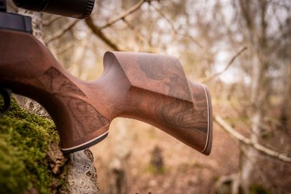 Picture of Weihrauch HW100 X KS